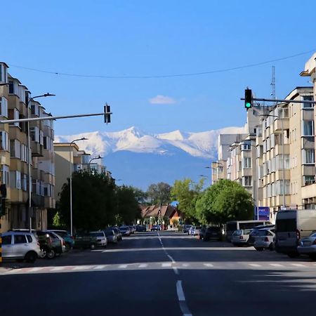 Modern Apartament Făgăraş Esterno foto